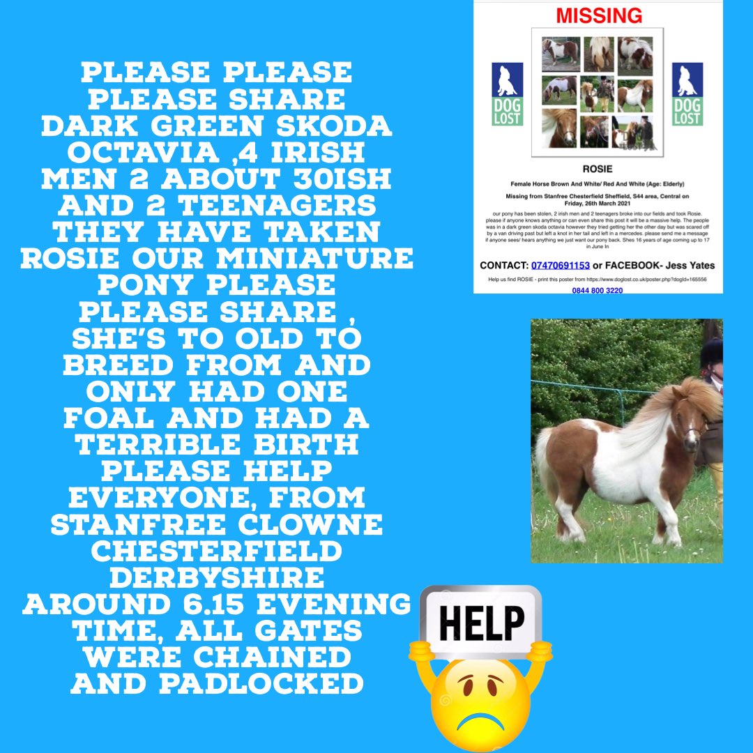 Karen Field tweet media