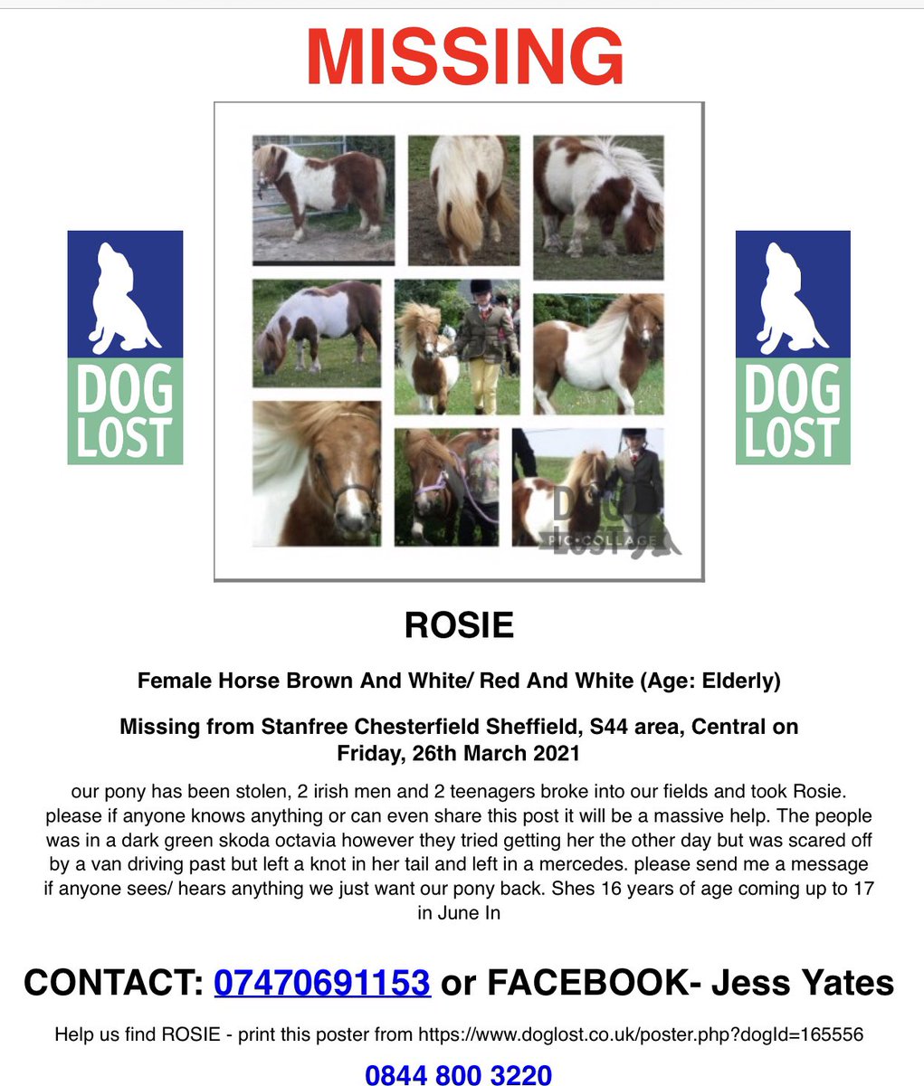 Karen Field tweet media