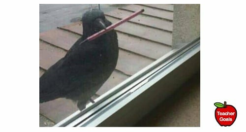 teachergoals's tweet photo. When a crow shows up more prepared than many of my students: https://t.co/UDXIzbHBU6
