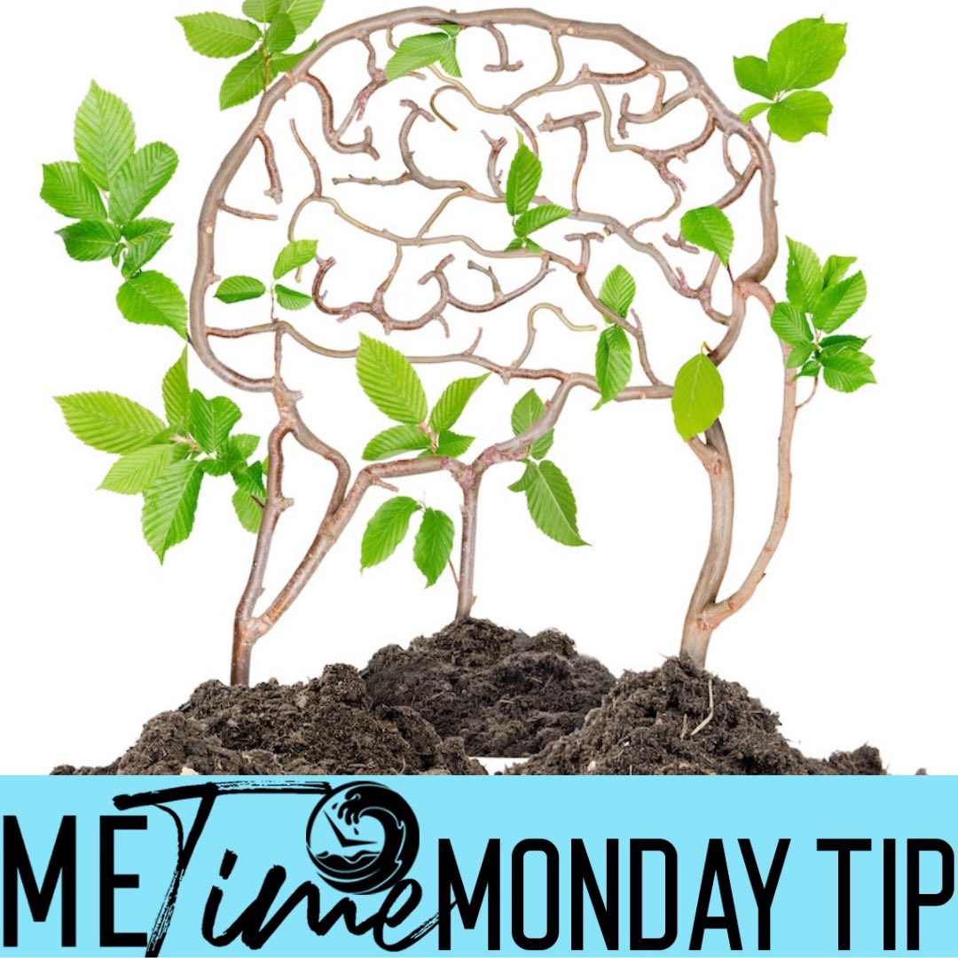 metimehere's tweet photo. Me Time Monday tip “Health is adding a level of intention to every area of your life”. 🌿🧠🫁🫀
.
. 
Once you plant the seed of health and self care in your brain, the rest will follow. 🌱🪴👣
.
.
#metime #MondayMotivaton #health #life #selfcare #wellnessjourney https://t.co/ABmiZt8dpW