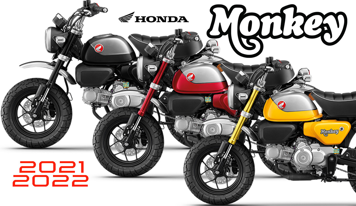 2022 2024 monkey honda