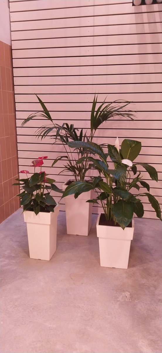 Junts per Taradell tweet media