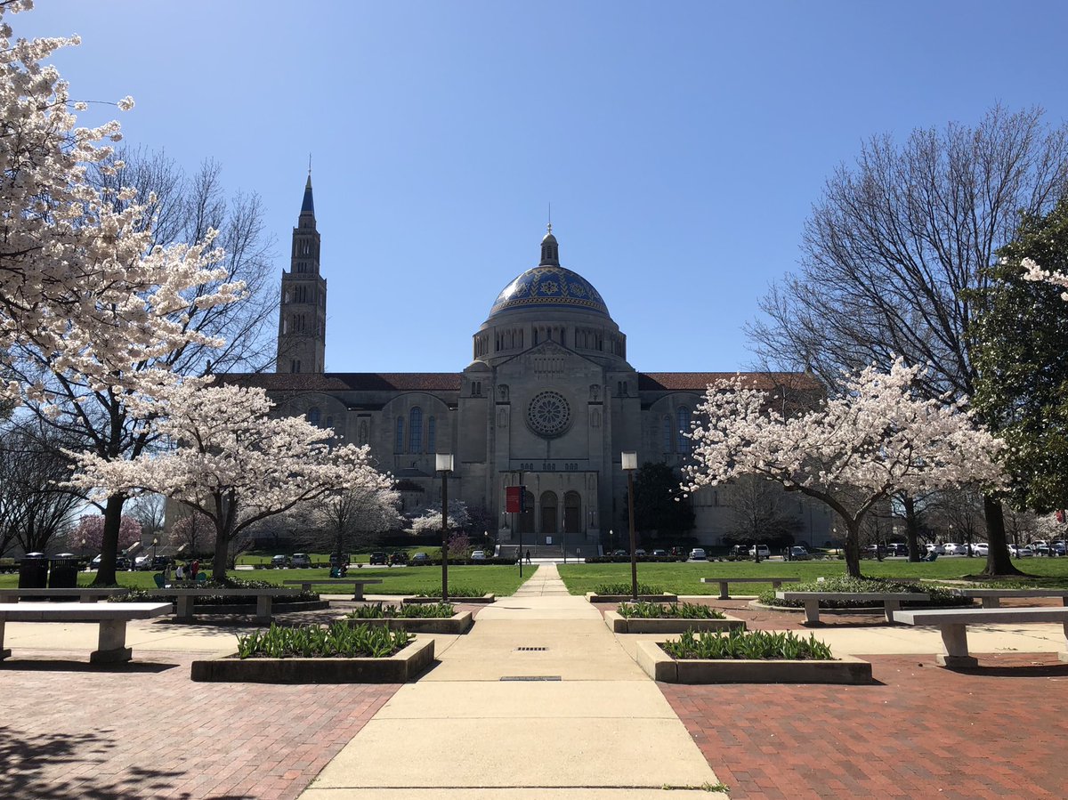 cuaNCSSS's tweet photo. Springtime from our courtyard at the National Catholic School of Social Service🌷 @CatholicUniv 

#NCSSS #CherryBlossomDC #CatholicUniversity https://t.co/v29DiAwem7