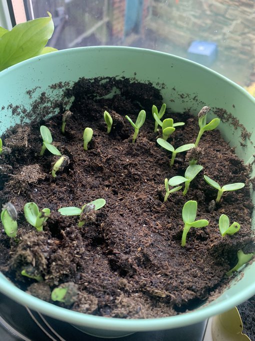 I&rsquo;m a proud mother https://t.co/6e1fMgzvUq