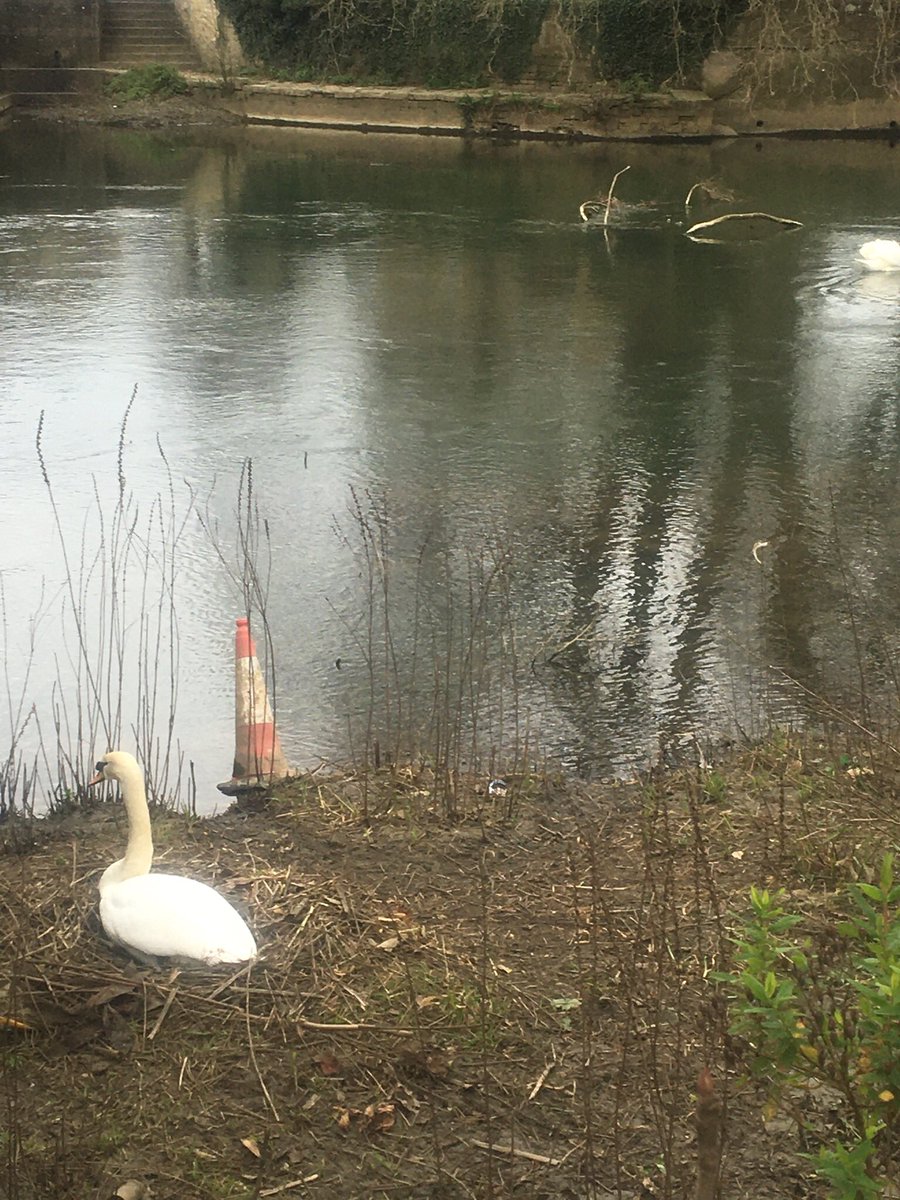 The Swan Hotel tweet media