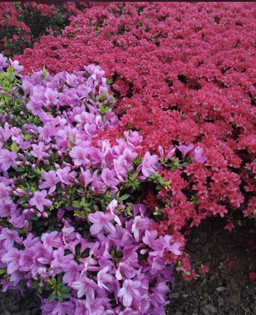  happy birthday Marina, have great day     