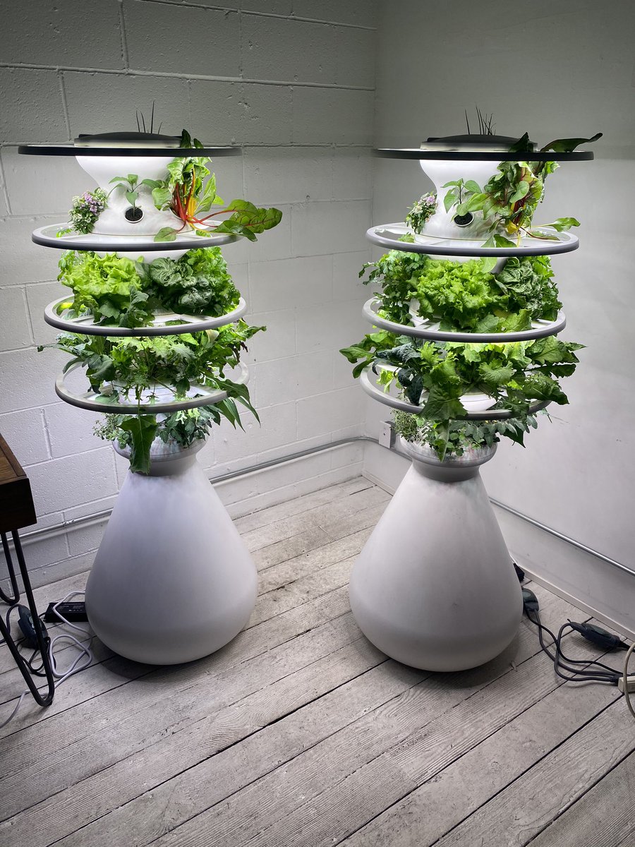 mattjames919's tweet photo. I’m at Lettuce Grow HQ today to discuss sustainability, future of hydroponics, and how we’re going to get these farm stands into EVERY school in the US 🚀👨🏽‍🚀 https://t.co/vmoy5LMWD1