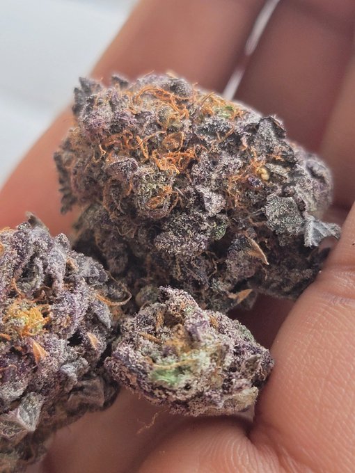 Watch rai's leaked NSFW photo on TwXstars