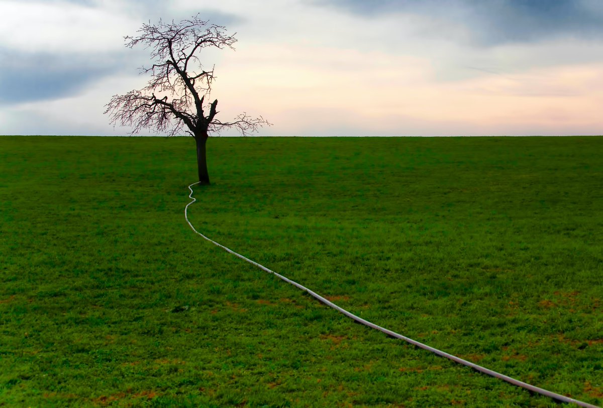 Adrian_Perrig's tweet photo. Exciting new research result: #SCION enables completely new interconnection agreements that can unlock new paths that would not be possible in today’s Internet. The paper by @simonscherrer  Markus Legner and Stefan Schmid @schmiste78 will appear at DSN:
https://t.co/4VIOy7Hkgb https://t.co/WJWZ7VPRUT
