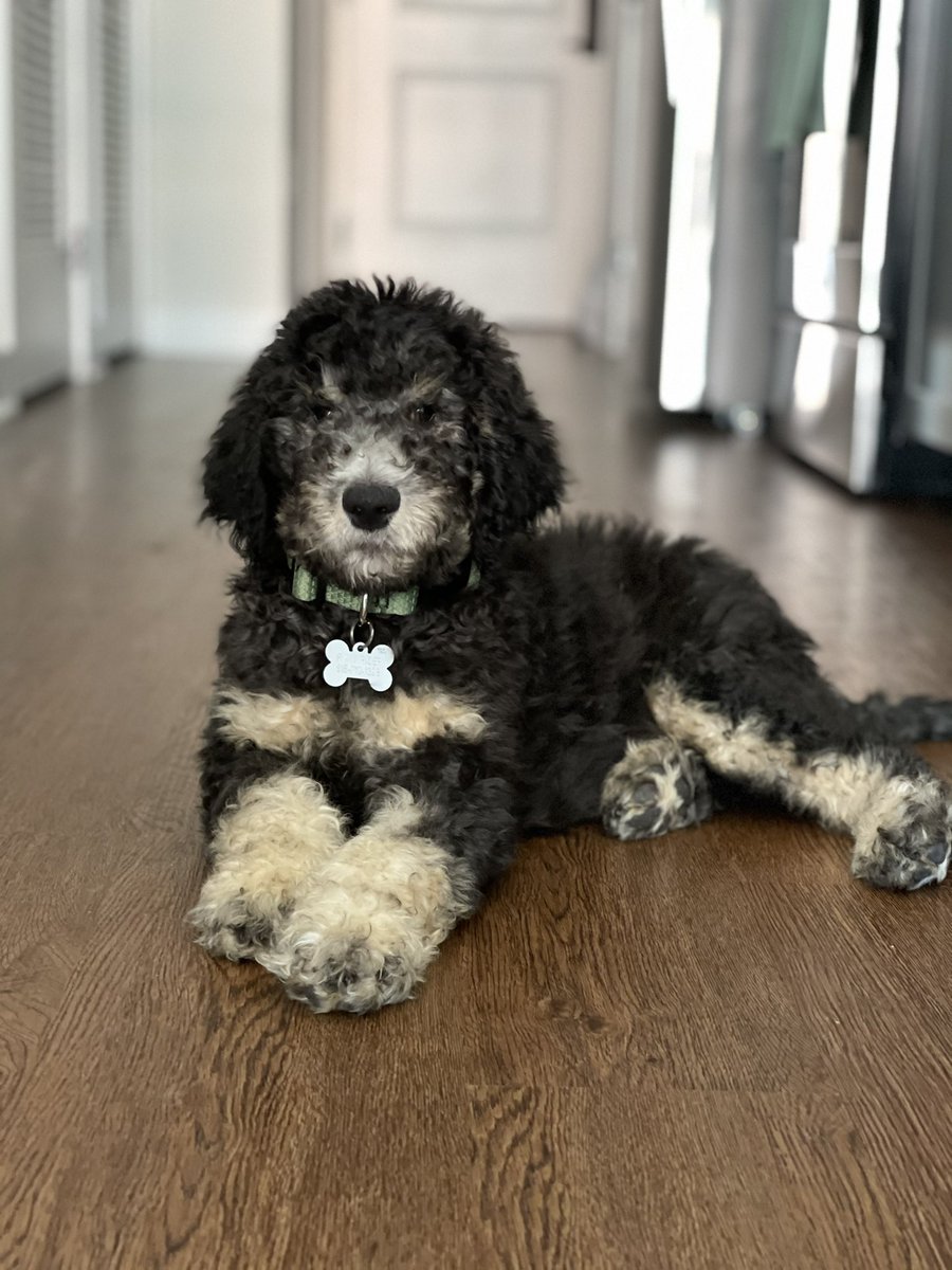 Michaela Sundermann Westberg tweet media