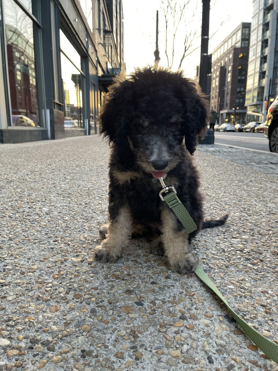 Michaela Sundermann Westberg tweet media