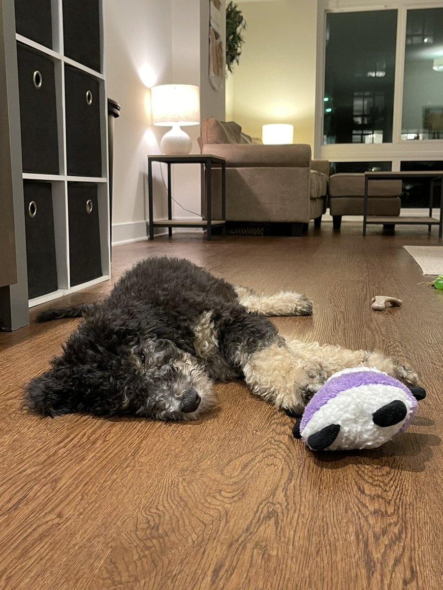 Michaela Sundermann Westberg tweet media