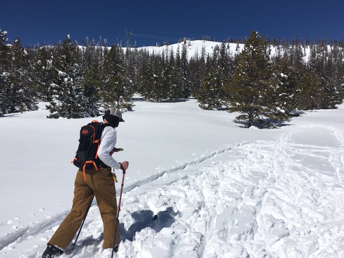CSSWildSurvival's tweet photo. Ben is off with his transmitter beacon, probe, and shovel - working quickly to find our “buried skier” https://t.co/3zWm9EmWoy