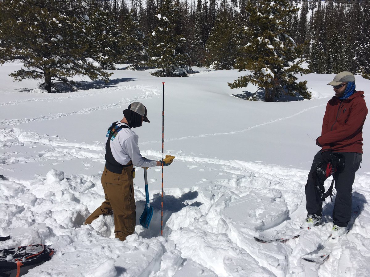 CSSWildSurvival's tweet photo. Ben is off with his transmitter beacon, probe, and shovel - working quickly to find our “buried skier” https://t.co/3zWm9EmWoy