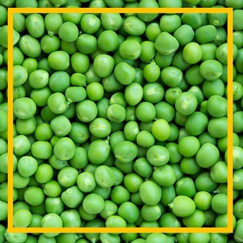 AloeBenefits's tweet photo. Green peas are an awesome source of bone-building vitamin K.
Peas also contain vitamin C, which helps your immune system properly, and they are high in protein as opposed to other vegetables, so they will keep you full up and satisfied.
#Superfood https://t.co/TbeVpxT768