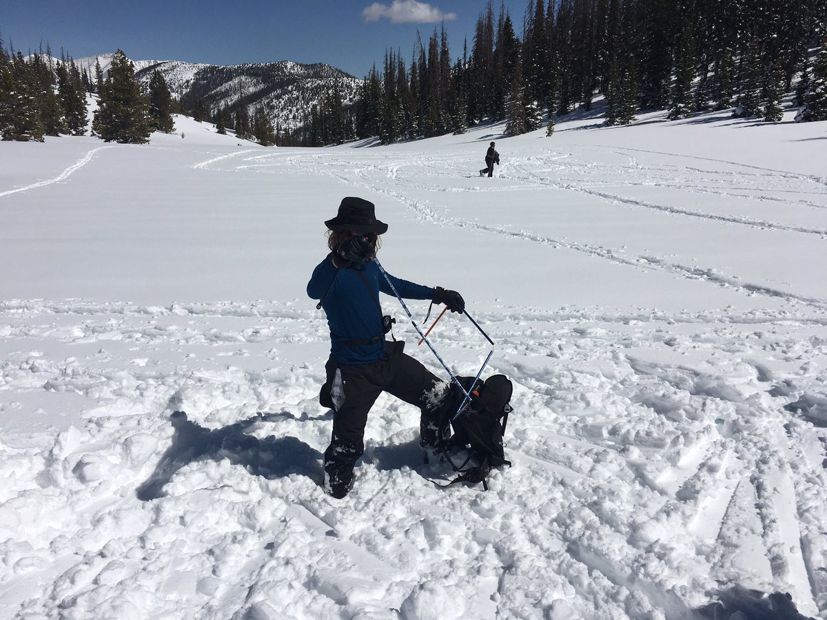 CSSWildSurvival's tweet photo. Next rescue - Go Owen! https://t.co/vBisKRWJva