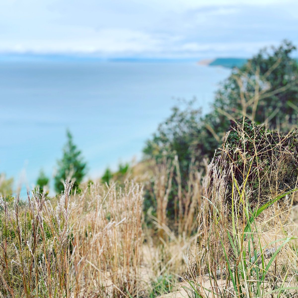 LakeFiveMi's tweet photo. Spring is here, the sun is out, and we have great news to share. If you haven’t been to our website lately, you will notice we are now https://t.co/wz8nRBRcsx. That means, we are now officially a 501(c)(3) nonprofit! 🎉 #lakefive #conservation #puremichigan #nonprofit https://t.co/aImZgfoyql