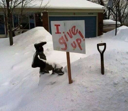 HPSWildcats's tweet photo. BREAKING NEWS: Weather not letting up...

BTPS has notified schools that afternoon bus runs will not be running either.

Stay safe everyone! https://t.co/nuQAnU7605