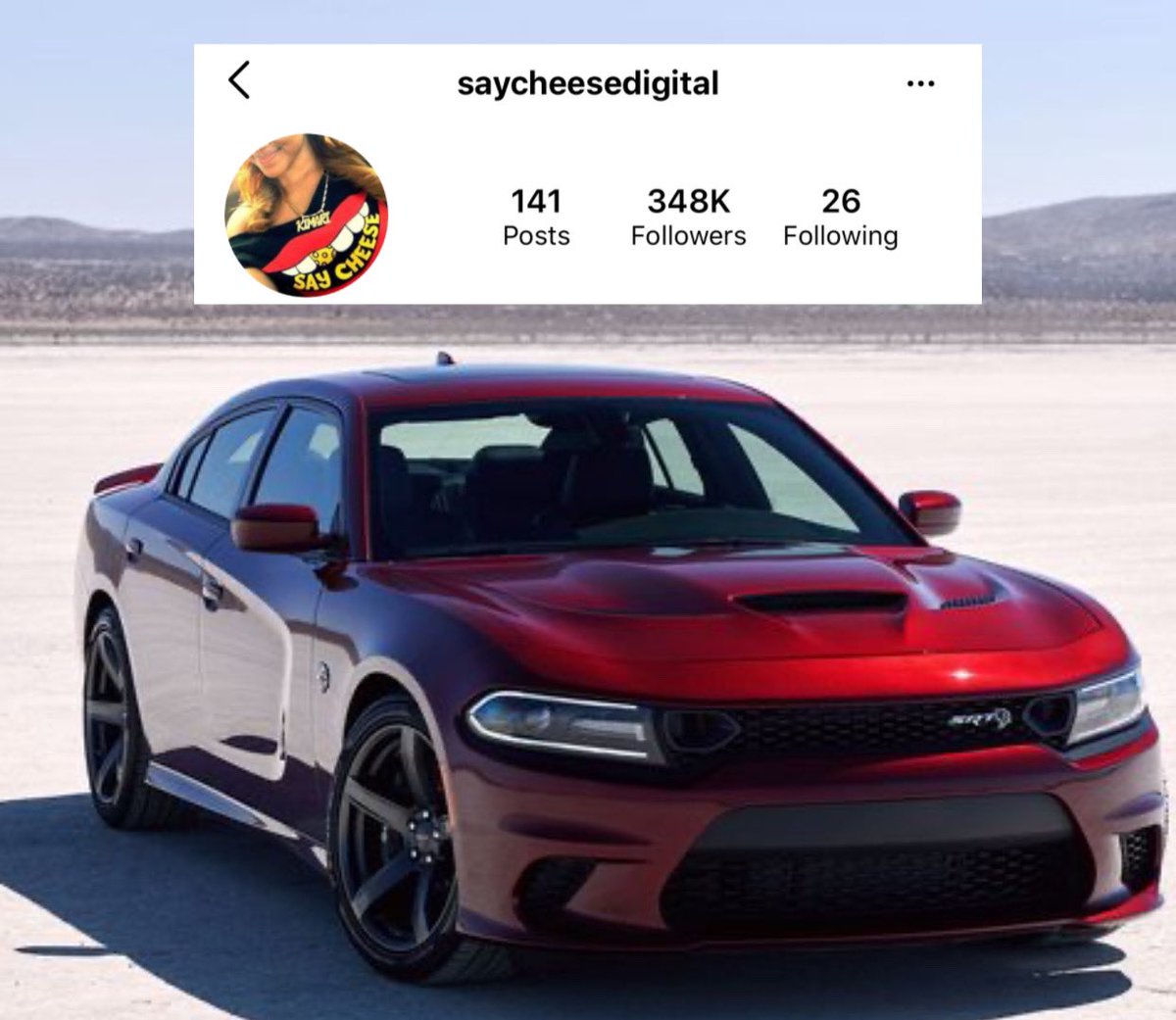 Cotton Boulevardez tweet media