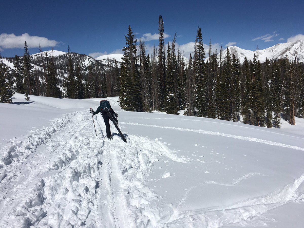 CSSWildSurvival's tweet photo. Skiing back to the pass at the end of an amazing day! https://t.co/Vqt56jGD9O