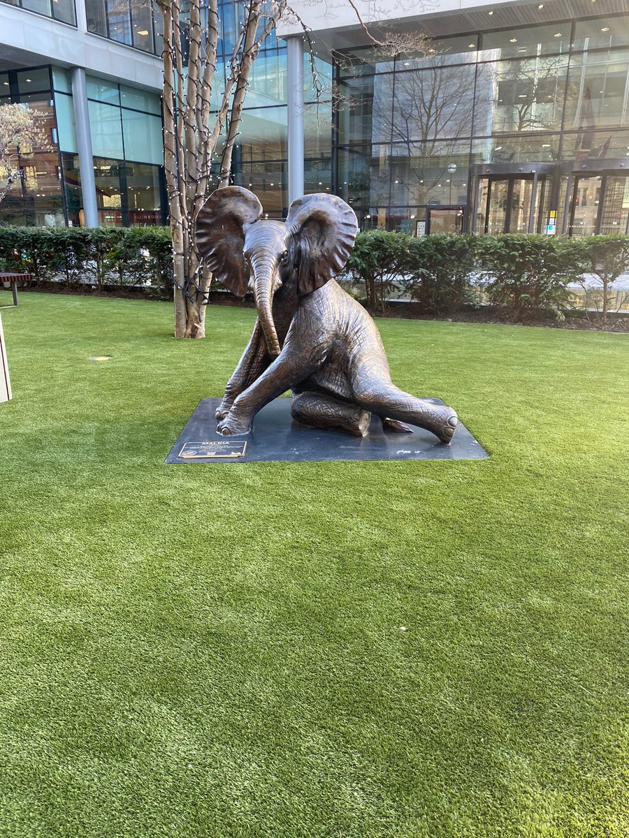 Why have they made this elephant look sexy?