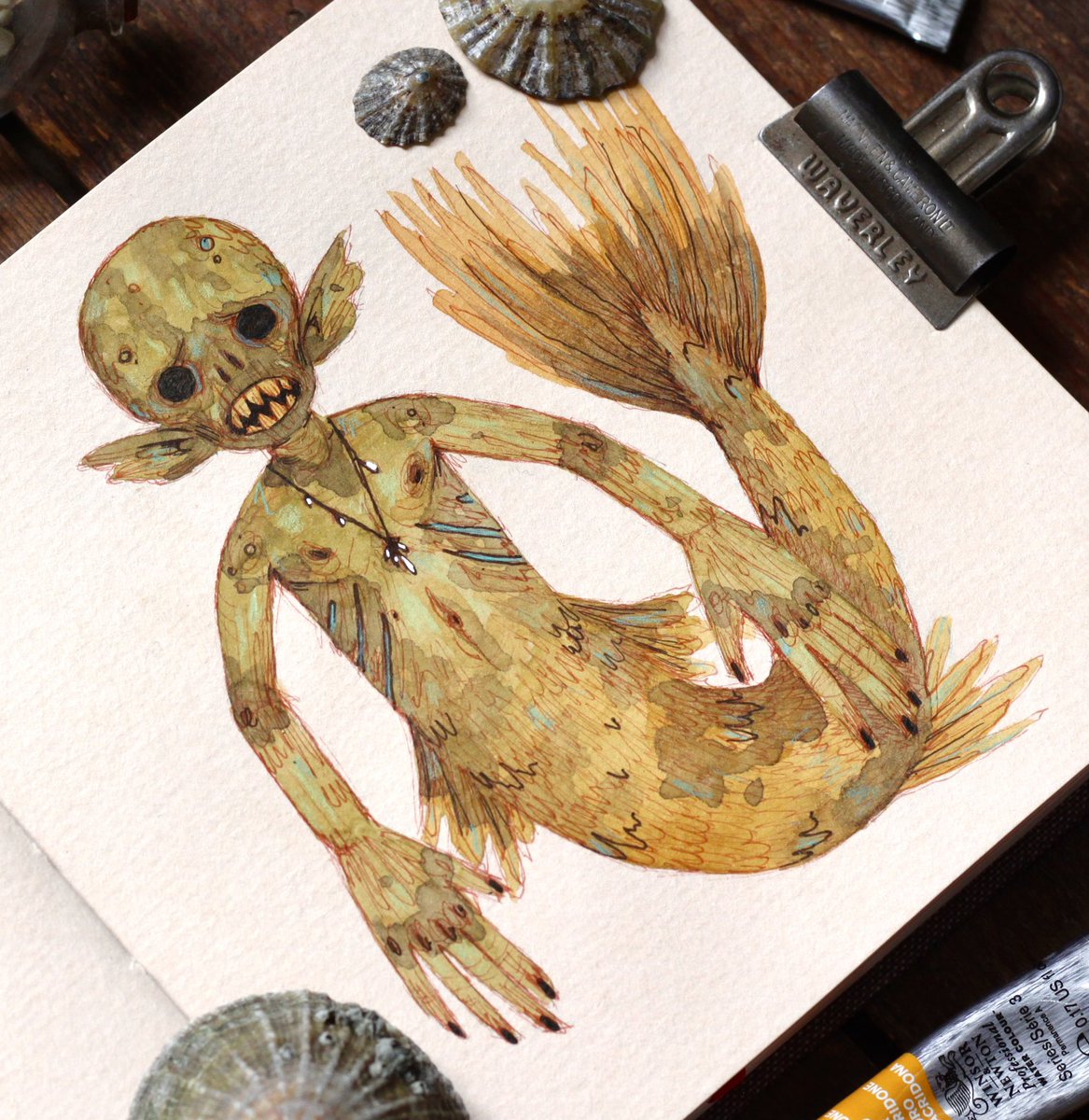 fawnlorn's tweet photo. A closer look at this Japanese Monkey-fish. Sketch. 🐚  #fawnlorn #matthayton #sketch #monkeyfish https://t.co/GizZAX1CsD