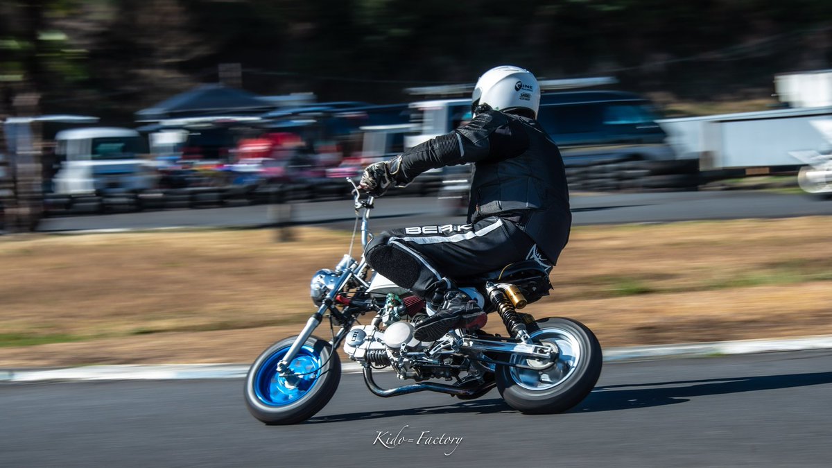 Yuuki@秋田犬しの tweet media