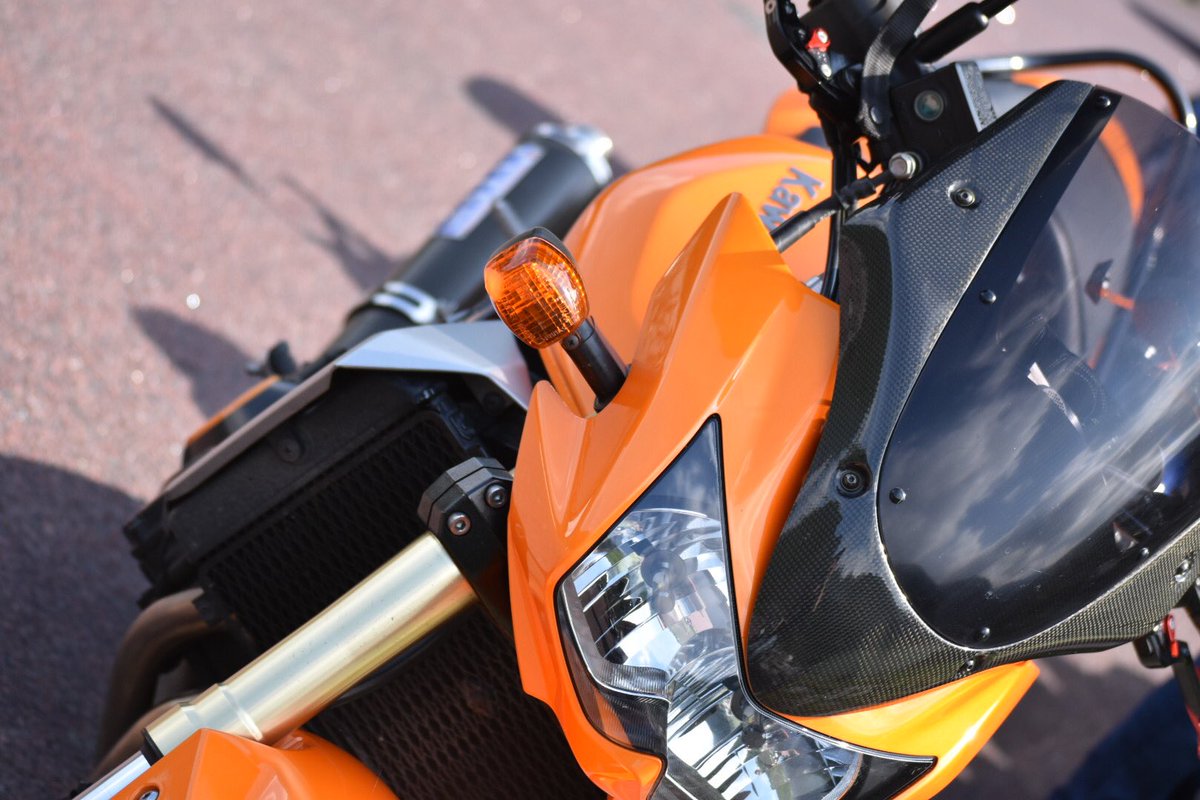 Yuuki@秋田犬しの tweet media