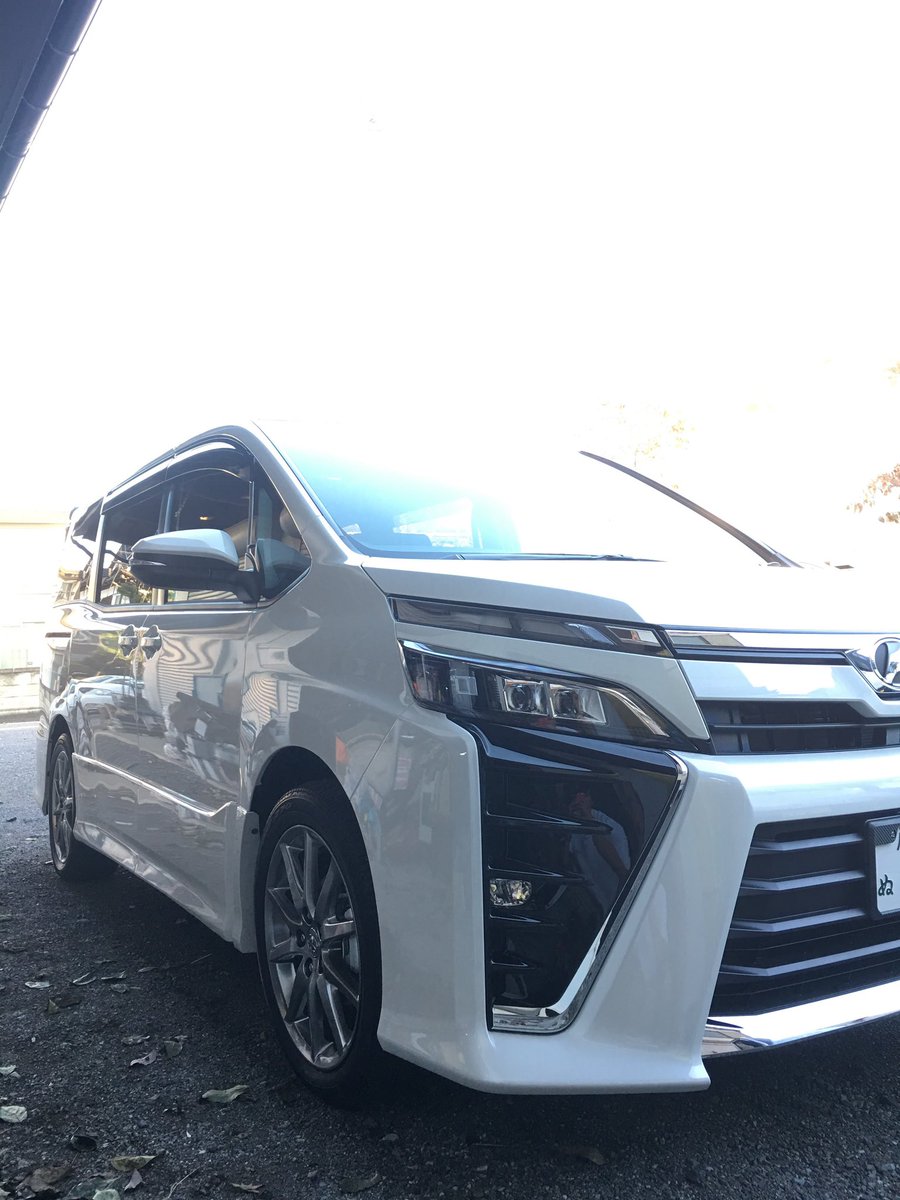 Yuuki@秋田犬しの tweet media