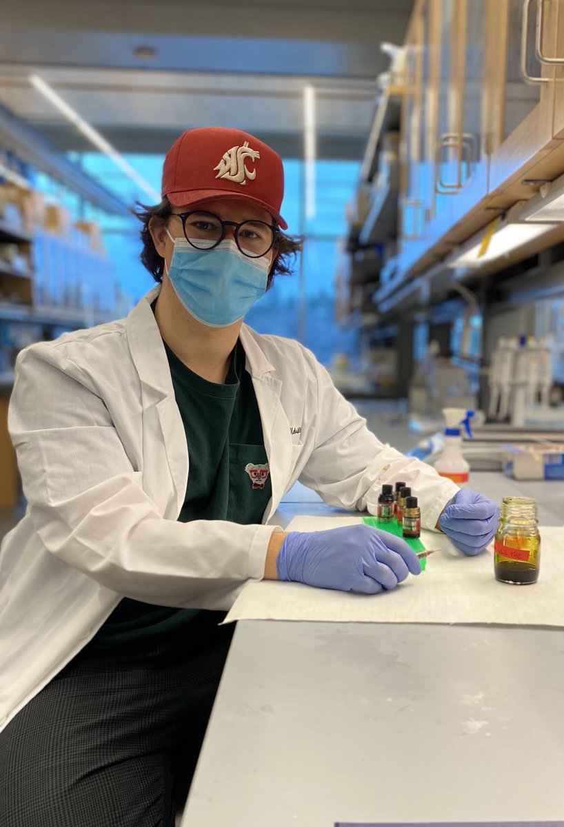 WSUvetmed's tweet photo. Neuroscience student Max Melville loves amateur astronomy and Pullman is a great place to see the stars. That's why on a clear night, you may find Max gazing from the top of Holland &amp; Terrell Libraries.  #CougScience

More about Max: https://t.co/Dh0yQepJJr https://t.co/cWuyip7ho3
