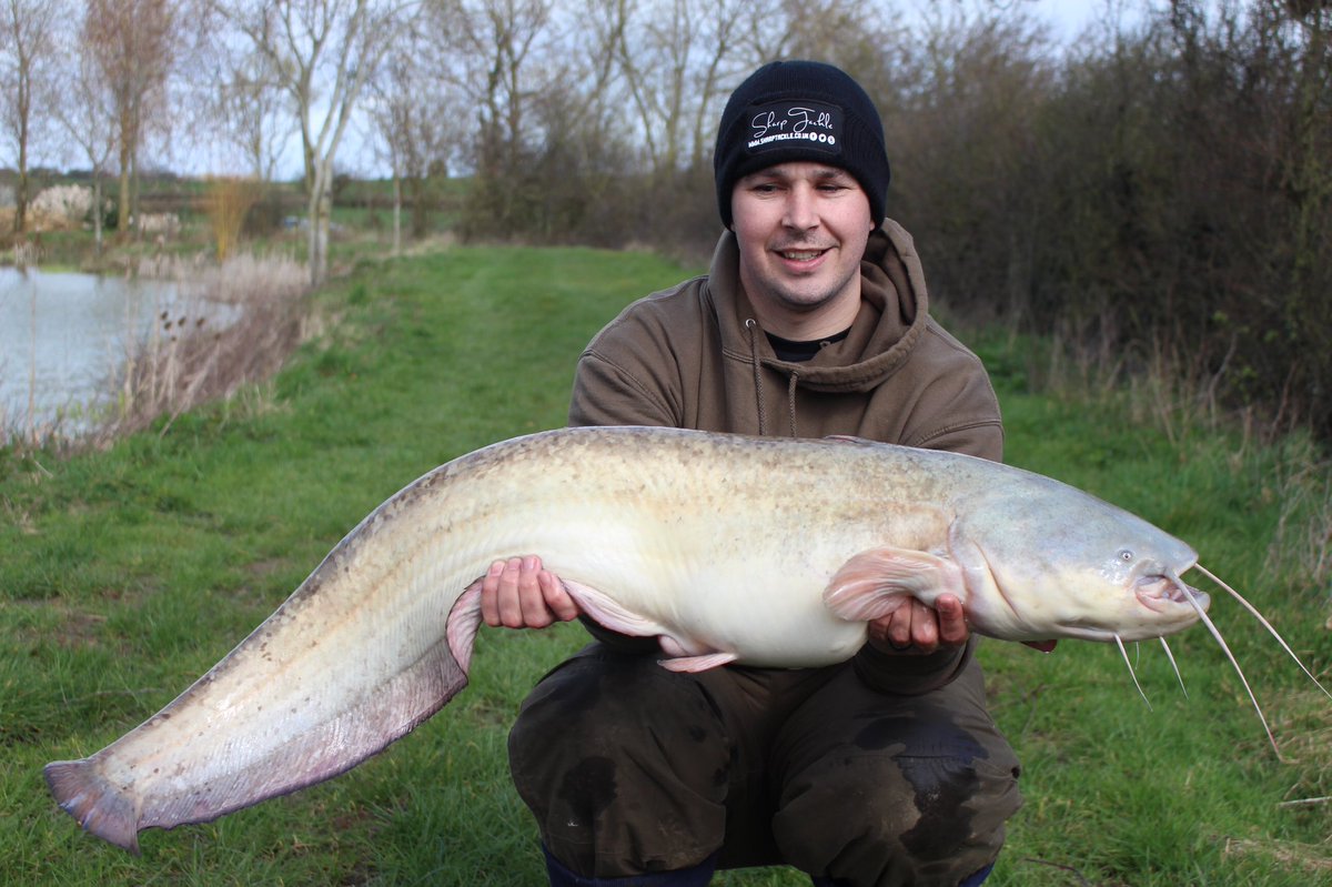 ASHWARR23's tweet photo. Great day session ending with the capture of the paddock lakes BROKEN LINEAR @Official_Todber @SharpTackle #oneoftheateam #teamsharptackle https://t.co/SSgPqiYuTO