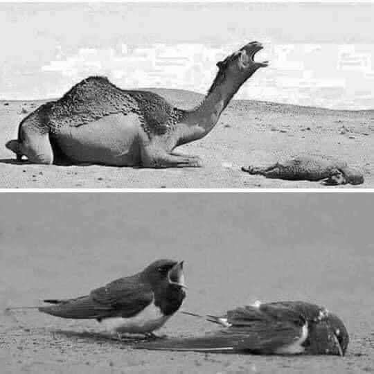 " ولا تحسبّن الفراق هين " 💔 pic.x.com/5R7O4xqhGK