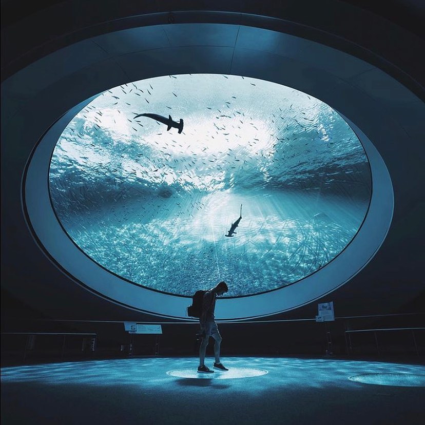 FrostScience's tweet photo. Time spent in self-reflection is never wasted. Especially if itβs under the Oculus. ββ
βπΈ: Instagram user austinfarmer_βββββ#FrostScience #ItsScienceMiami https://t.co/uHJXZvHJUz