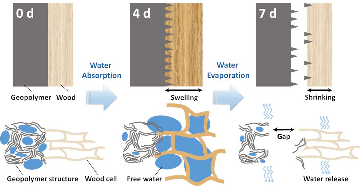 biohomeUHH's tweet photo. Substituting #cement with #geopolymer and #wood: Together with colleagues from #BJFU @Thuenen_aktuell the @unihh #BioHome team developed a novel method to improve and assess #composite curing. See https://t.co/BDPF2caaIU https://t.co/xyBHrVh9CC