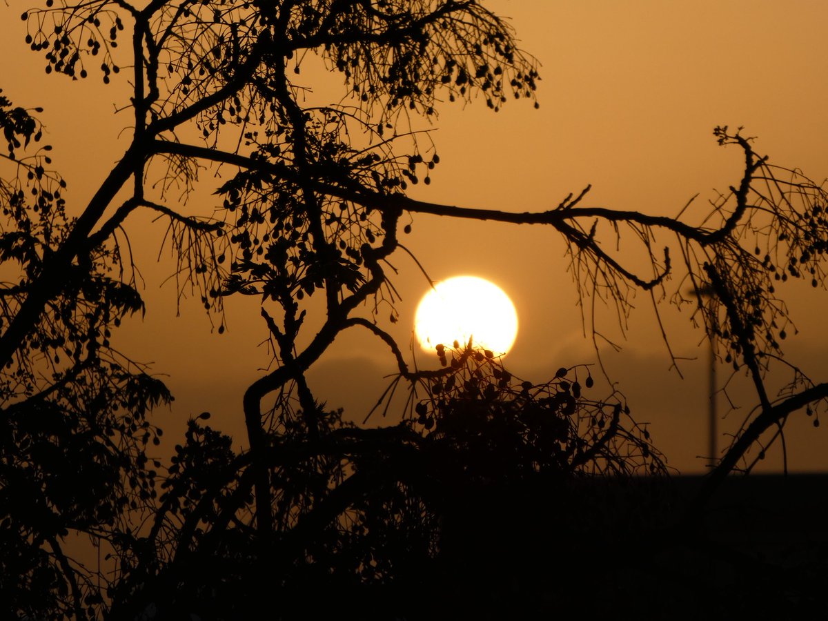 #amanecer🌅 #amaneciendo #fotografia #sunrise #sunrise_sunset_photogroup #sunrise🌅 #sunrisephotography #sunrise_shotz #sunrise_sunset_aroundworld #laspalmas #GranCanaria #canarias #photography📷 #photographers
instagram.com/p/CNAiUG4M17l/…