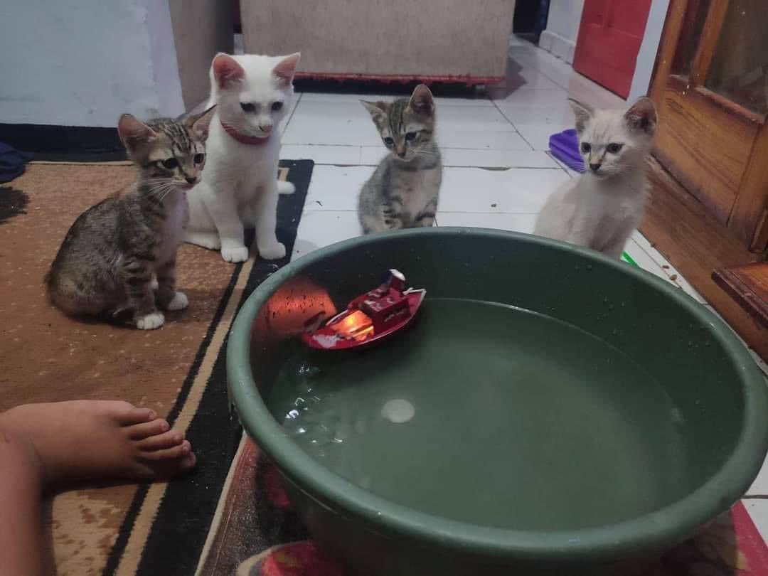 recehtapisayng's tweet photo. Berjam2 cuma lihat muter2 tpi penuh kenangan https://t.co/RYGf6eePEh
