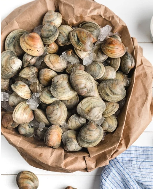seafoodonlineca's tweet photo. Pastaneck Clams 

Farmed. Product of Florida, USA, the fresh Past Clams are ideal for any pasta or sauce or just on their own. These clams are 1 to 2" in diameter and are the small size. 5 LB Box.

#clams #pastaneck #FreshFish #Pescatarian #PescatarianEats #calamari #comfortfood https://t.co/ENoA2x9eG3