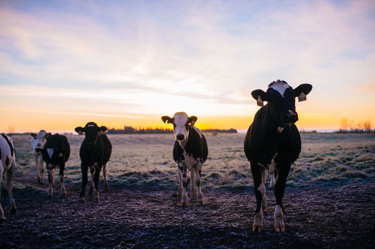 RDAR (Results Driven Agriculture Research) tweet media