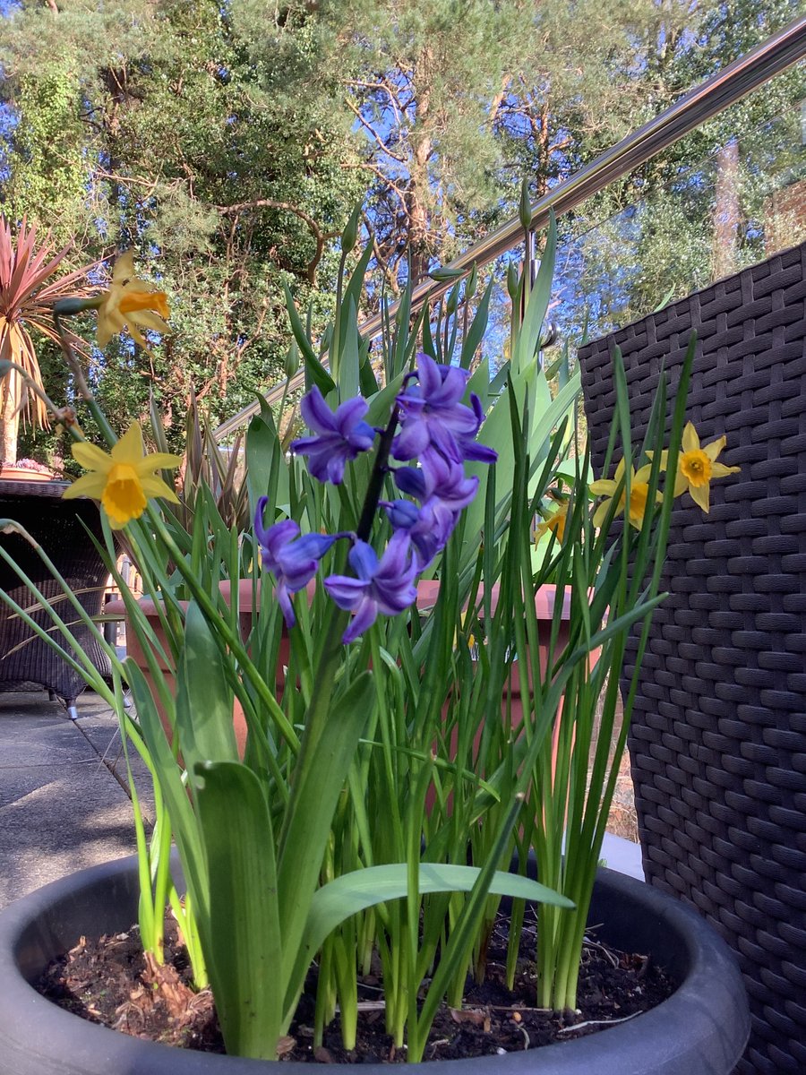 BurwoodHome's tweet photo. Spring has well and truly arrived at @BurwoodHome  and residents have been enjoying socially distanced trips around the garden with staff. We hope you have all been enjoying the sunshine 💐🌸🌼🍁🌾🌺🌻🌹💐💐💐🌼🌸🌞🌞#burwood #Spring2021 https://t.co/BzUUF6YiJ1