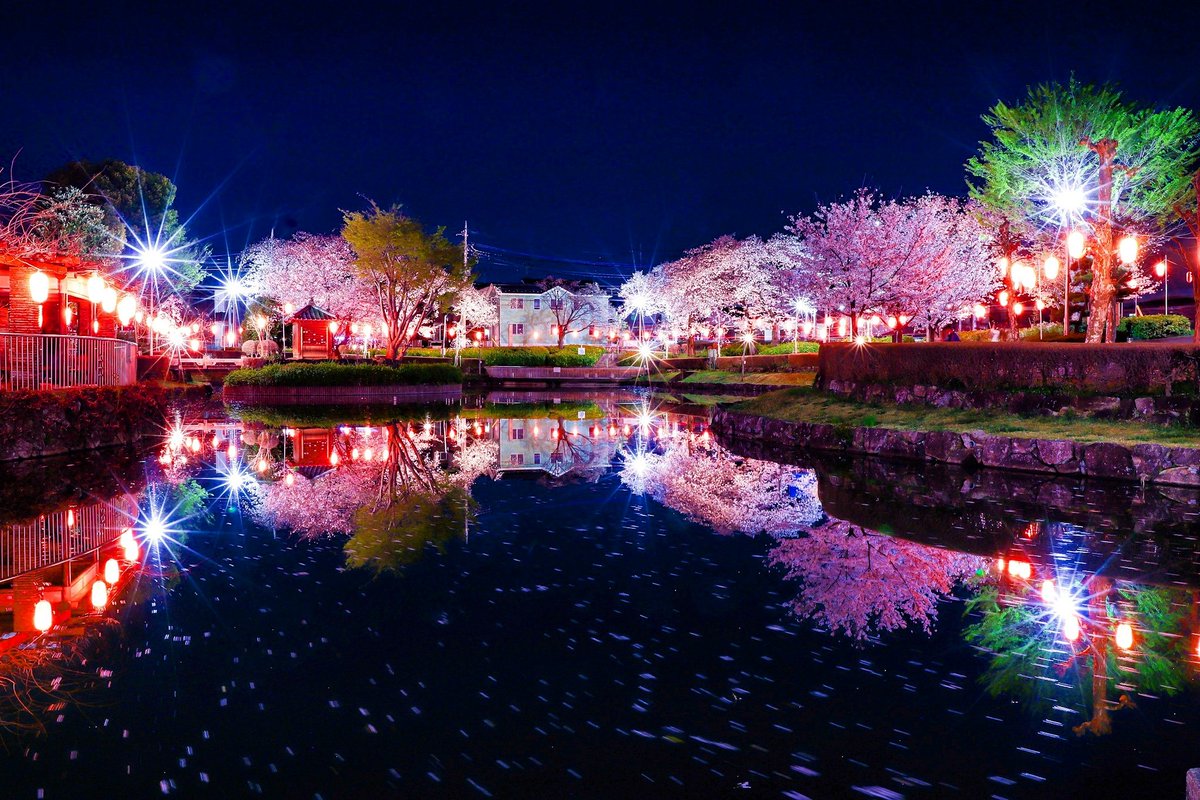 sa6316's tweet photo. 東松山にある上沼公園。
初めて行ったけど、なかなか良い感じだった！

#夜桜 #ファインダー越しの私の世界 
#リフレクション 
#カメラ好きな人と繫がりたい https://t.co/kSa4W4Gg85