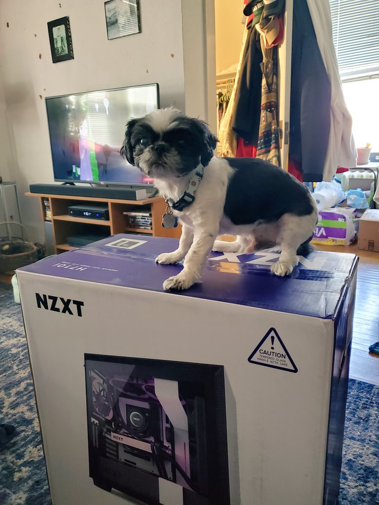 CorderoEdwards's tweet photo. We building a ship....To A New World! Thanks @NZXT #1stPCbuild #NewGorilla #streamer #twitchstreamer #SmallStreamerCommunity  #SmallStreamersConnect https://t.co/MCnQXKRInc