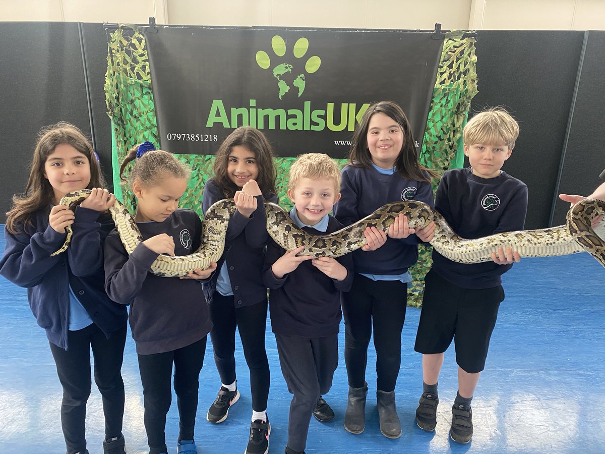 MissN0Donnell's tweet photo. Year 3 loved the live animal workshop today!🤩 They were very brave when meeting a snake, meerkat and even a tarantula 🐍🕷 @Grazebrook_Pri https://t.co/H8eKb2gnEW