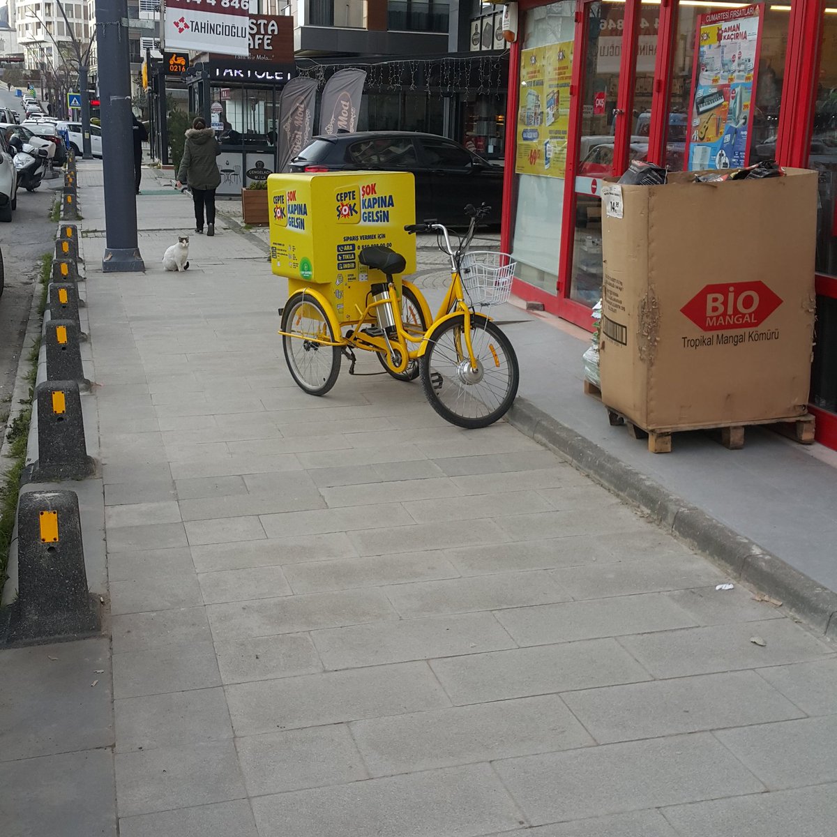 İşte tam da budur.
(Sustainability.Cycling like,Holland,
Denmark,Germany&amp;Finland.)
Kedi de çaktırmadan poz vermiş bu arada!Hiç farkında değilim minnoşun!