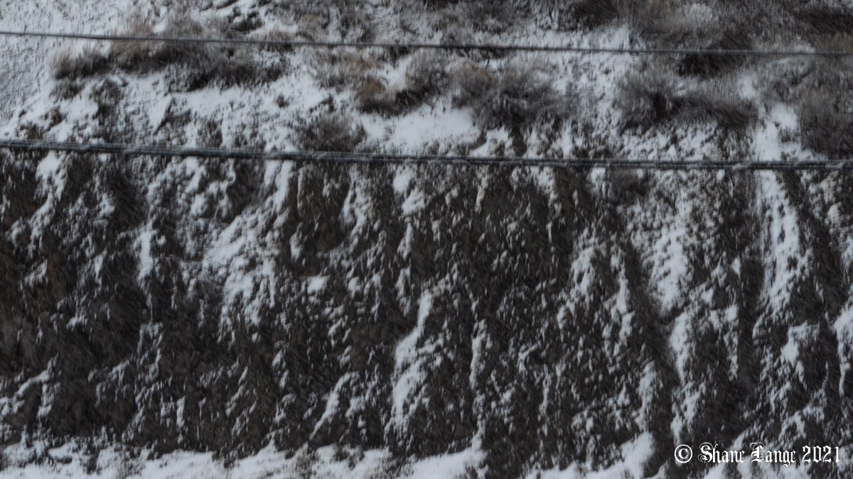 FactotumBC's tweet photo. It's been a while since I've posted a semi-abstract texture study but yesterday's surprise winter storm was kind enough to provide this view of the hillside opposite my balcony.

#CacheCreek #photographer #semiarid #desert #winter #landscape #texturestudy #rockface #geology https://t.co/DmcHiU46Zs
