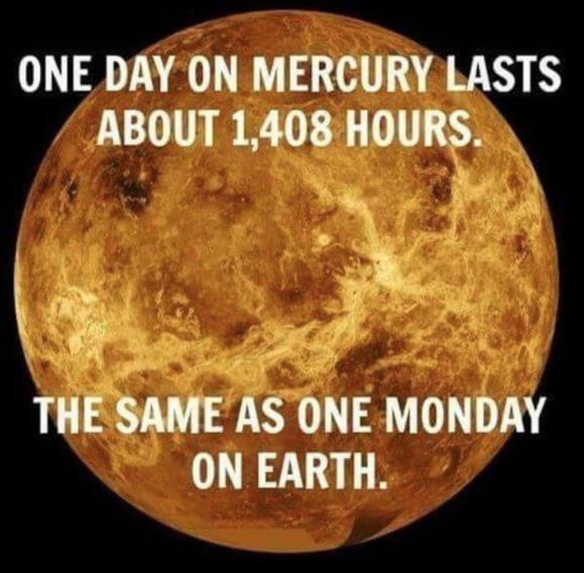 #CaseoftheMondays got you feeling like Monday is 1408 hrs long?

Don't fret! You've got this (and trust us, it's just a regular sized day) 😉
Make the most of your new beginning and be great this week!

#teamlogicIT #technology #cybersecurity #techbusiness #onlinesafety
