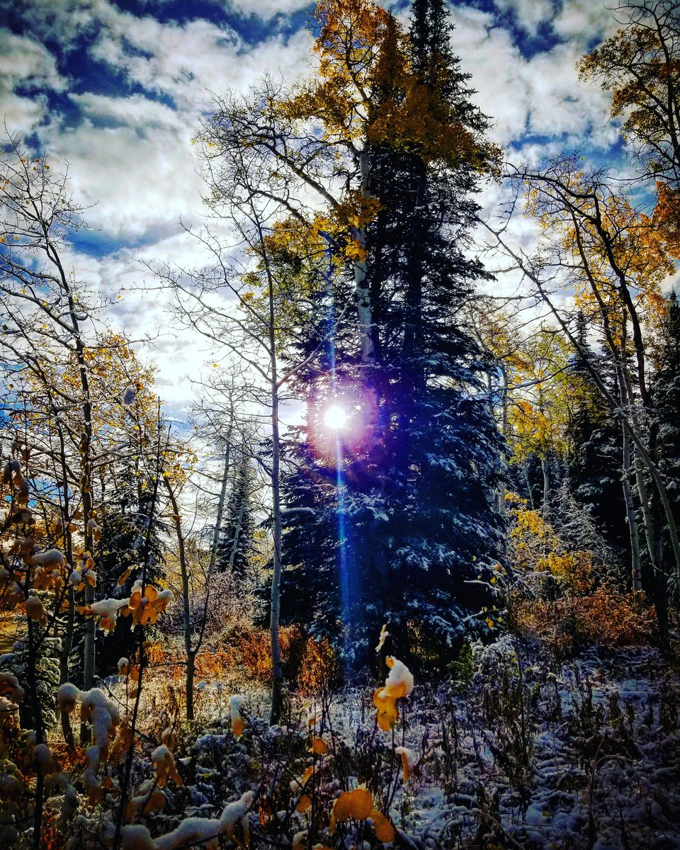ELKHuntz's tweet photo. #CraigColorado 
#LoveInc Of The 
#YampaValley #FoodBanks 
#MakeAWish Foundation #RonaldMcDonaldHouse #DaveThomas #Wendys  #AdoptionExchange 
#PhotoOfTheDay #Happy Place @TimTebow @mackenziescott @GMU201COLORADO @Rockymountainz @Discovery @DiscoverMag @discoveryimages https://t.co/UJGFXikunu