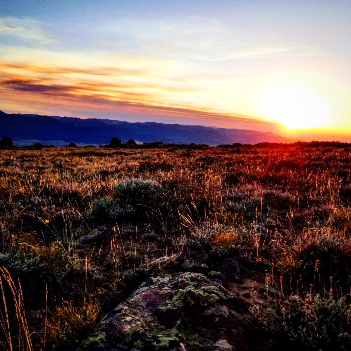 ELKHuntz's tweet photo. #CraigColorado 
#LoveInc Of The 
#YampaValley #FoodBanks 
#MakeAWish Foundation #RonaldMcDonaldHouse #DaveThomas #Wendys  #AdoptionExchange 
#PhotoOfTheDay #Happy Place @TimTebow @mackenziescott @GMU201COLORADO @Rockymountainz @Discovery @DiscoverMag @discoveryimages https://t.co/UJGFXikunu