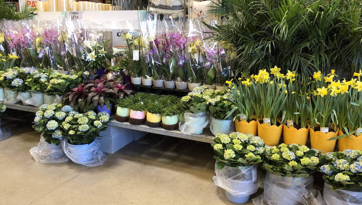 PPSLinda's tweet photo. HD3625 Asheville #eastersonitsway @Stephen_E_Camp @PPSinHD @DyerEric18 @spoonholtz @BobbyBoaenTHD https://t.co/XnKvSfJ2RS