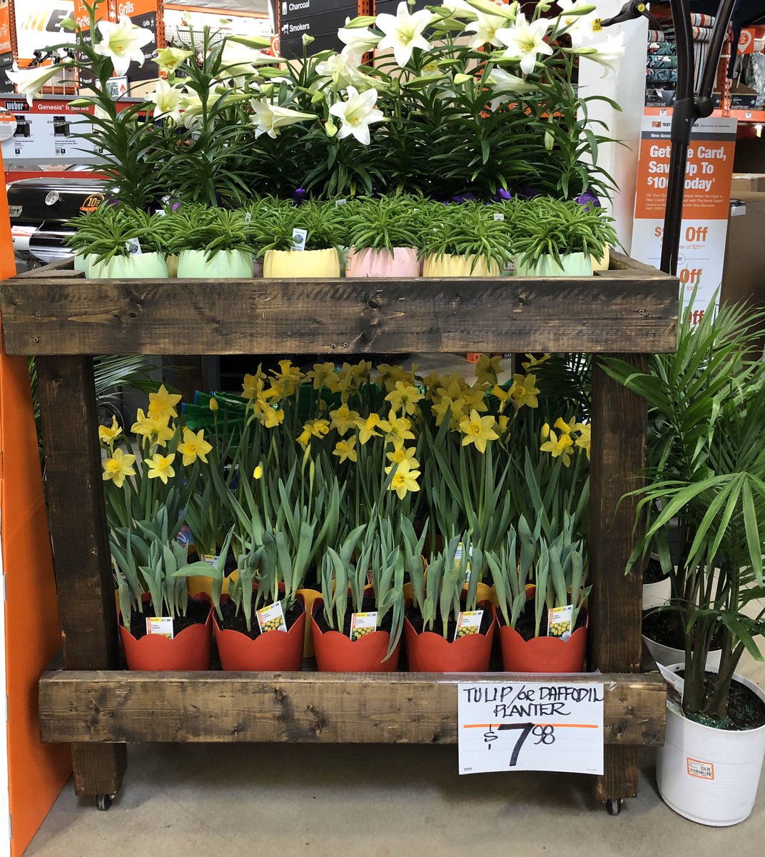 Linda Burkins (@ppslinda) on Twitter photo HD3625 Asheville #eastersonitsway <a href="/Stephen_E_Camp/">Stephen Camp</a> @PPSinHD <a href="/DyerEric18/">Eric Dyer</a> <a href="/spoonholtz/">Teresa Spoonholtz</a> <a href="/BobbyBoaenTHD/">Bobby Boaen</a> HD3625 Asheville #eastersonitsway <a href="/Stephen_E_Camp/">Stephen Camp</a> @PPSinHD <a href="/DyerEric18/">Eric Dyer</a> <a href="/spoonholtz/">Teresa Spoonholtz</a> <a href="/BobbyBoaenTHD/">Bobby Boaen</a>