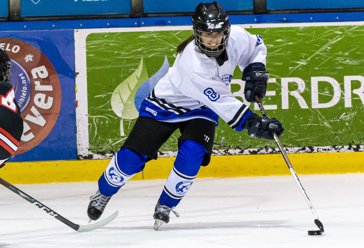 Frank González tweet media